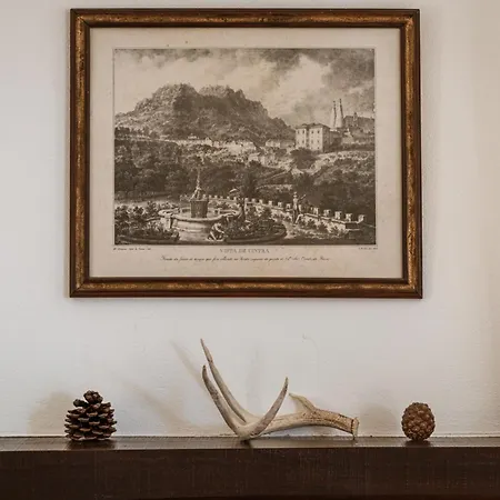 Casa Do Magoito Σπίτι διακοπών *