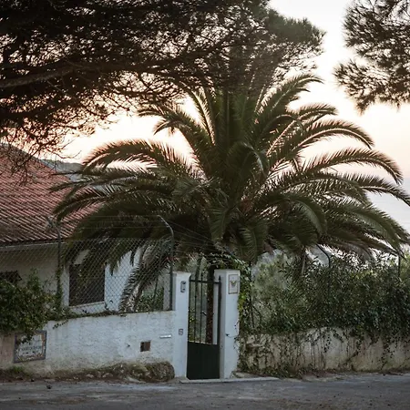 Casa Do Magoito Ferienhaus Bolembre