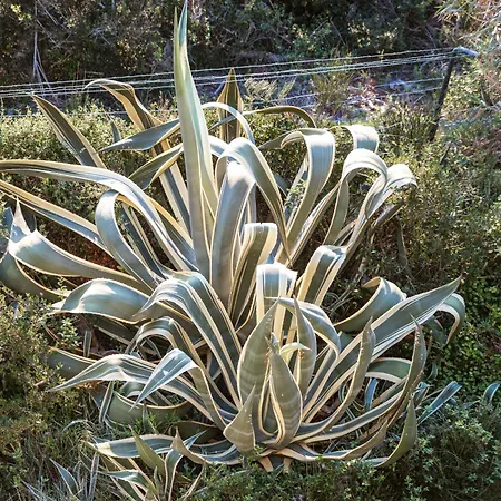 Σπίτι διακοπών Casa Do Magoito *