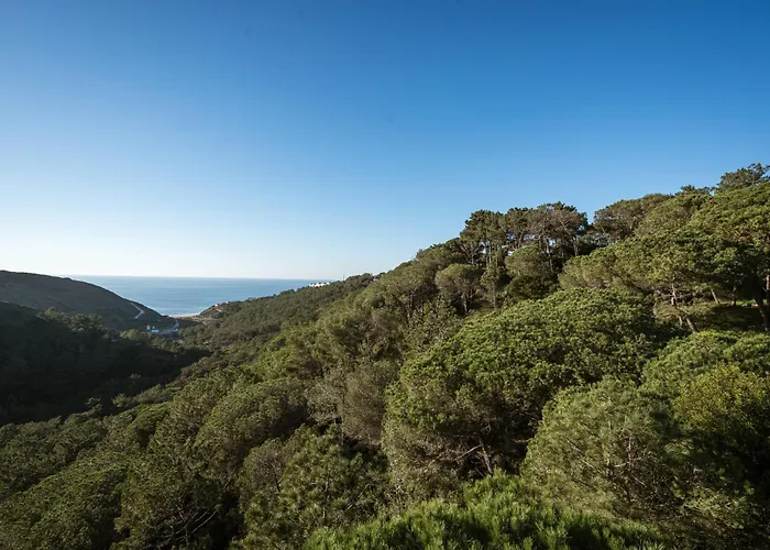 Casa de Férias Casa Do Magoito